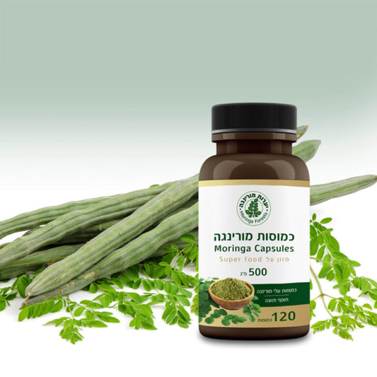100% Pure Moringa Leaves Capsules - 120 Capsules of 500 mg - moringa forests shop