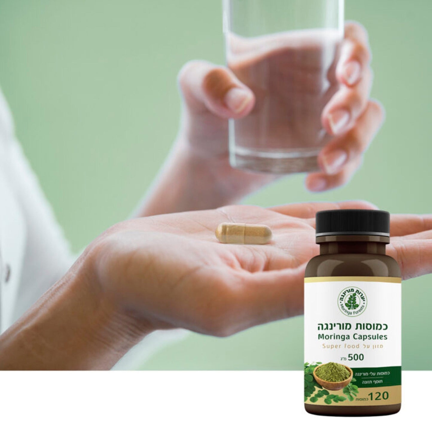 100% Pure Moringa Leaves Capsules - 120 Capsules of 500 mg - moringa forests shop