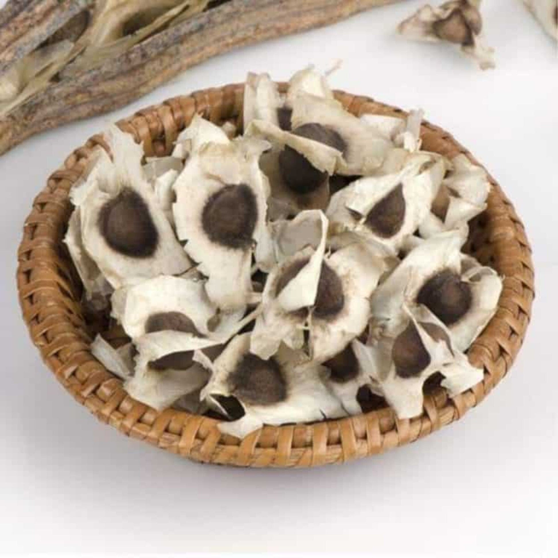 Hand Picked Organic Moringa Seeds - moringa forests shop