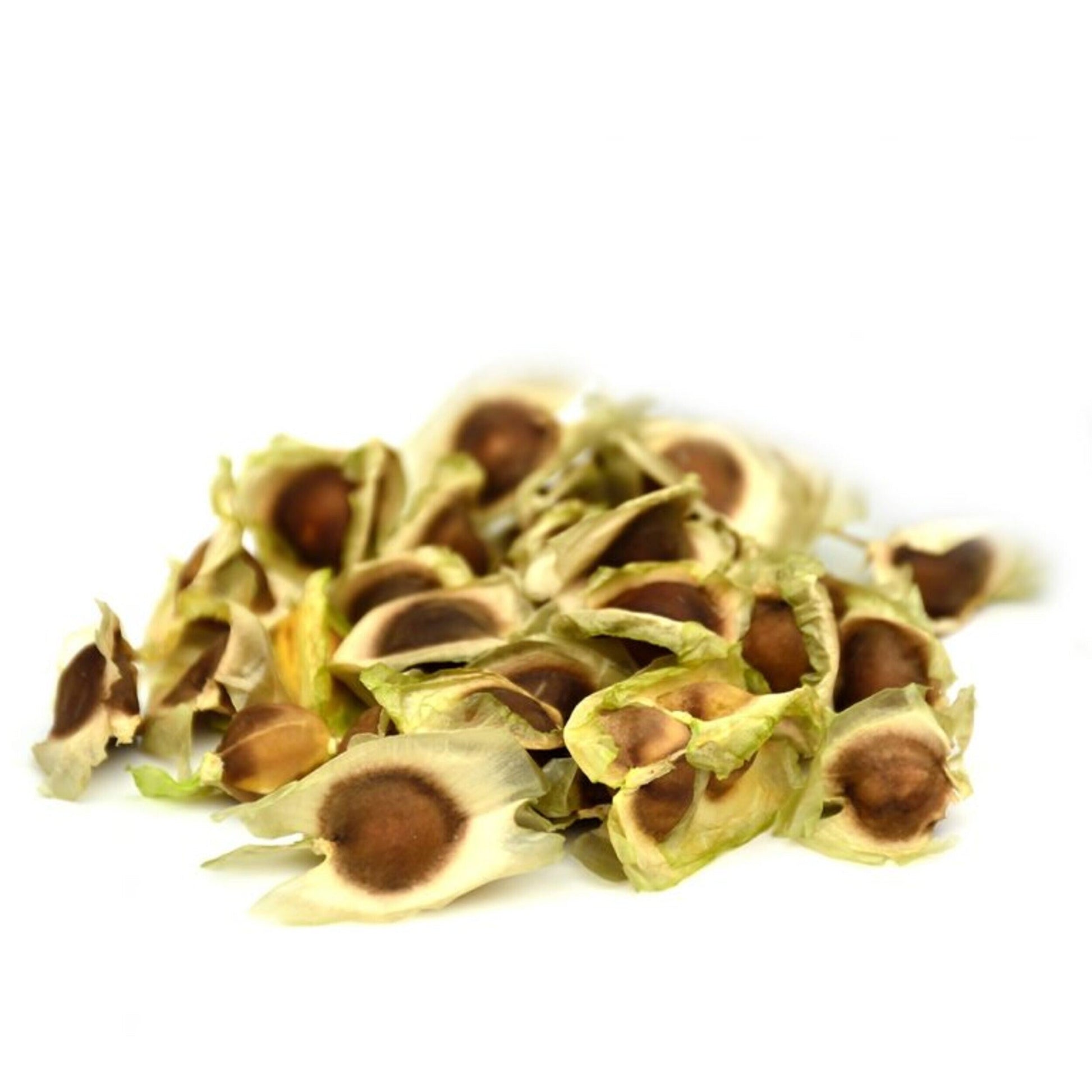 Hand Picked Organic Moringa Seeds - moringa forests shop