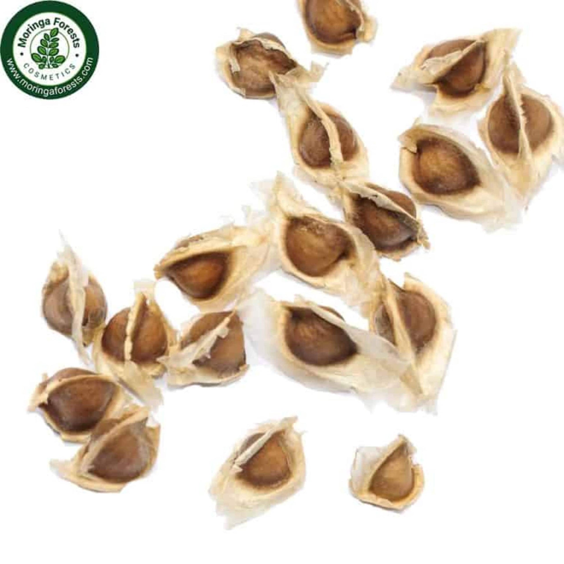Hand Picked Organic Moringa Seeds - moringa forests shop