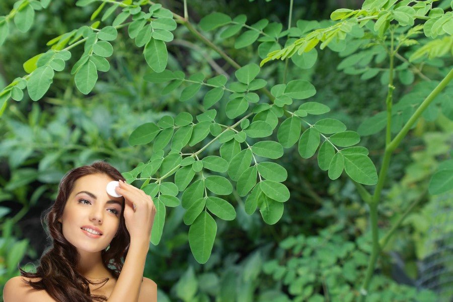 The Benefits of Moringa for Your skin - moringa forests shop