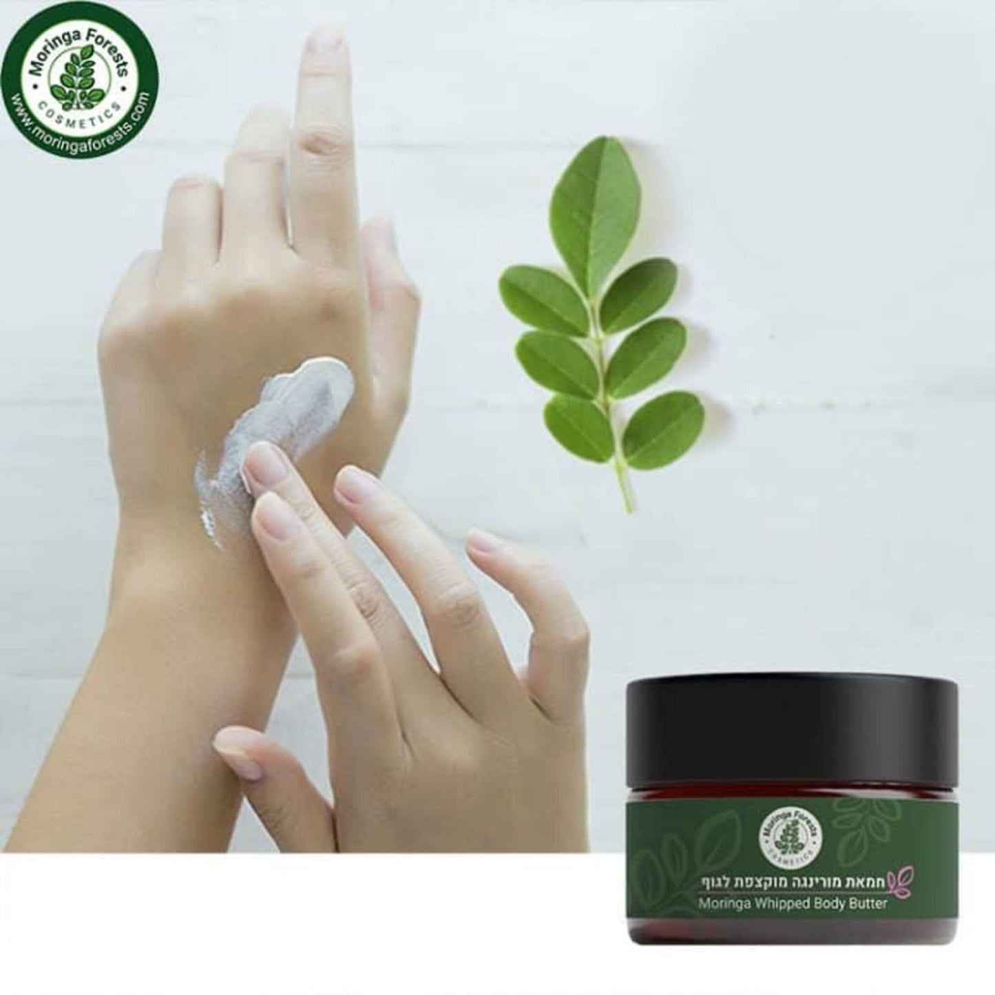 Moringa Whipped Butter Moisterizer - moringa forests shop