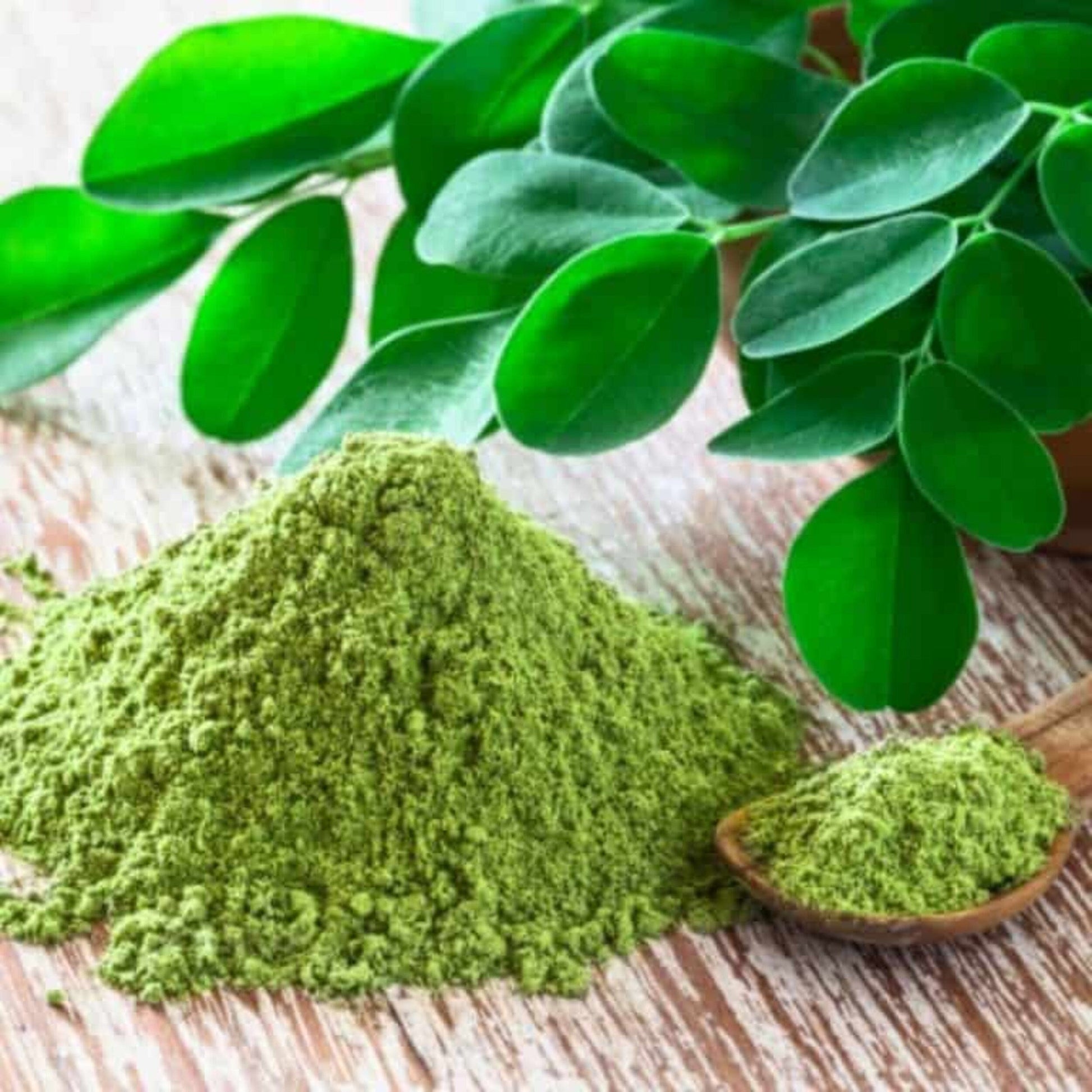 Pure Moringa Natural Dried Leaves Powder (3.5oz/100g) - moringa forests shop